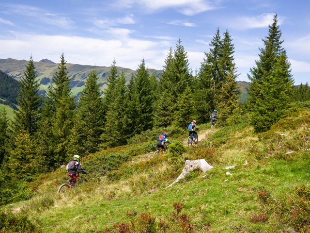 Sportchalet Viehhofen Appartements